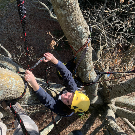 PRO Dealer 4 - Tree Care (VAX024)